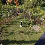 Aiko Villa Bandung